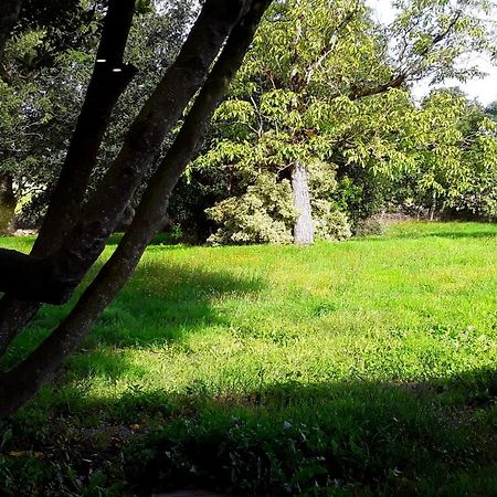 Domaine De La Tranquillite V Villa Noyal-Muzillac Kültér fotó